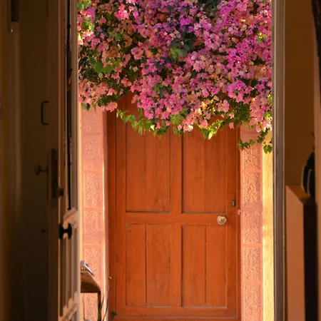 Homestay Gaja Ayvalik