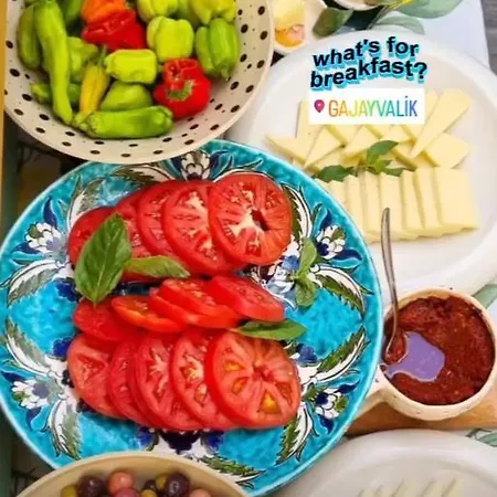 Gaja Ayvalı