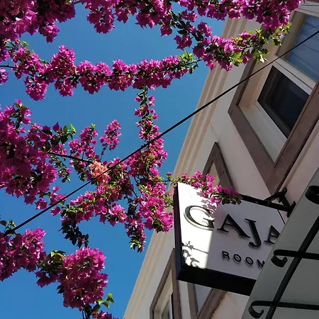 Ubytování v soukromí Gaja Ayvalı